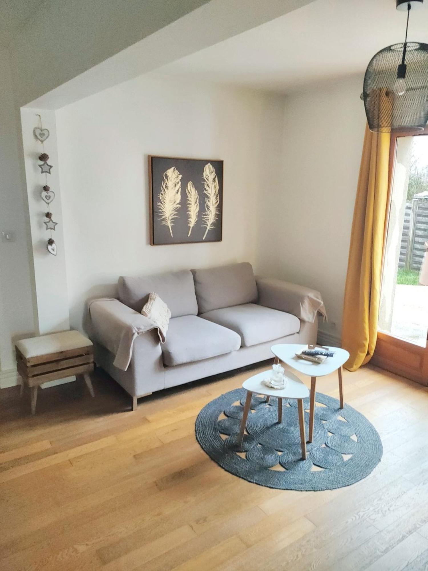 Maison Charmante A Vierzon Avec Jardin Prive Buitenkant foto